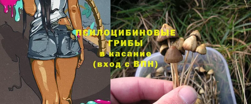 Галлюциногенные грибы Cubensis  купить наркоту  Серпухов 